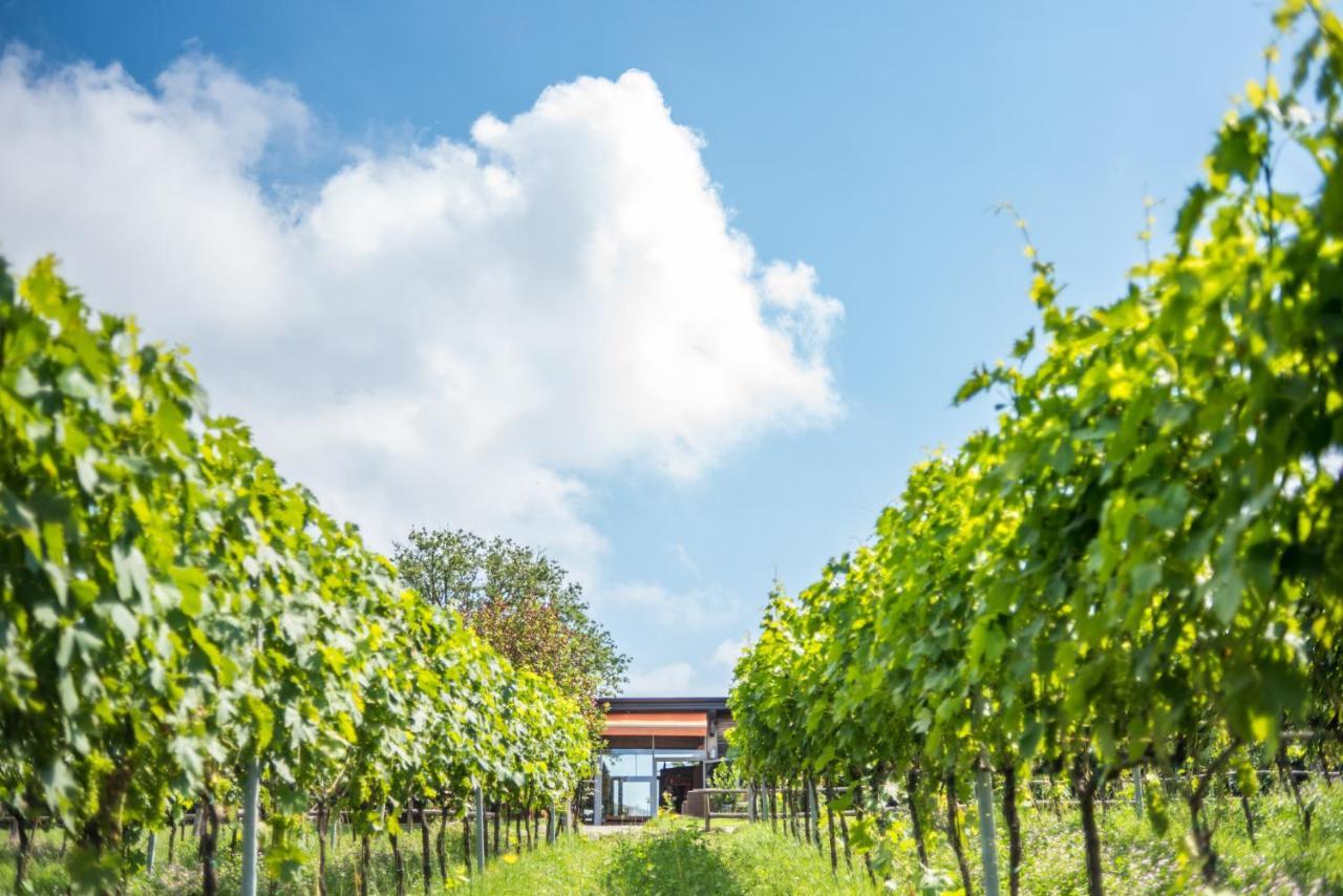 Farm stay Valdonica Winery Fine Dine & Wine Sassofortino