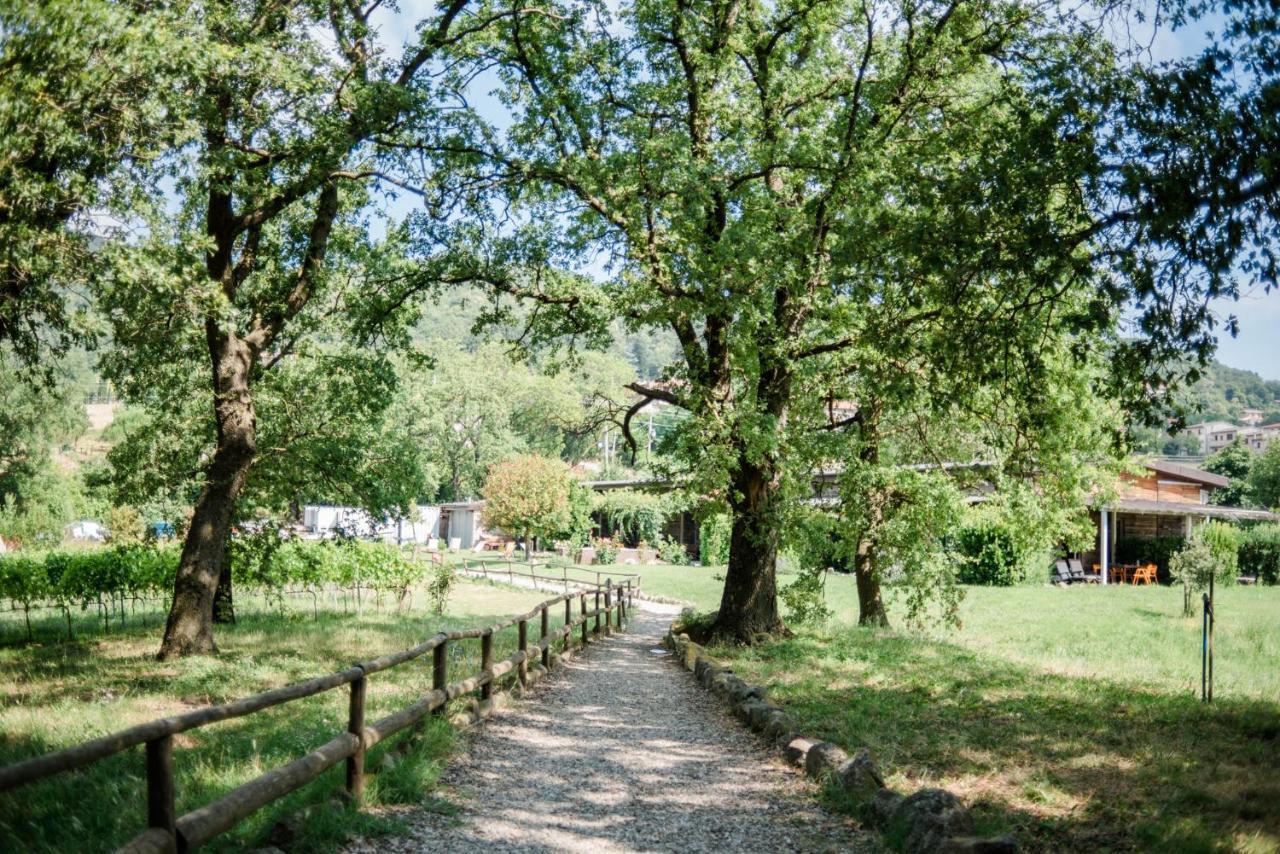 Farm stay Valdonica Winery Fine Dine & Wine Sassofortino