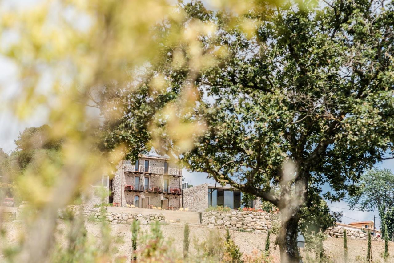 Valdonica Winery Fine Dine & Wine Farm stay Sassofortino