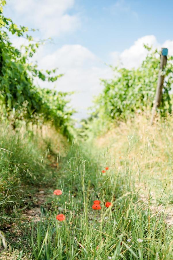 Valdonica Winery Fine Dine & Wine