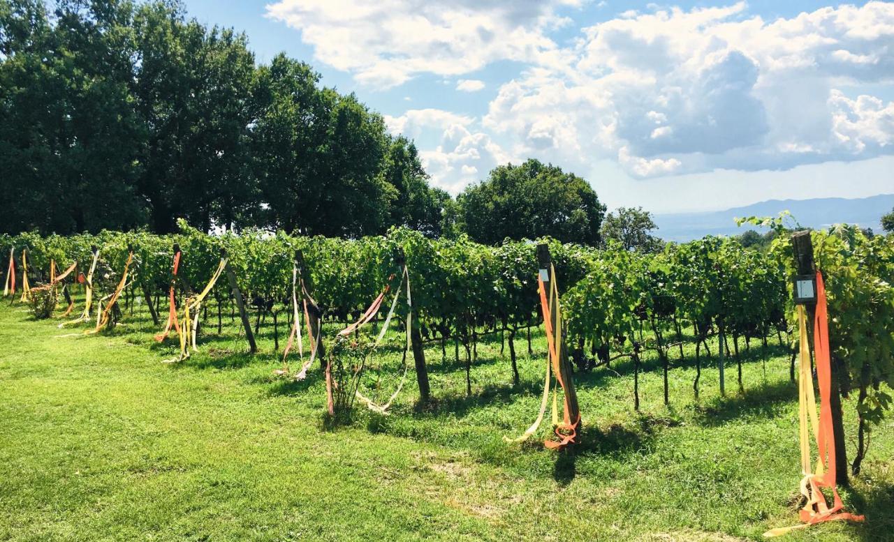 Valdonica Winery Fine Dine & Wine Vakantieboerderij *