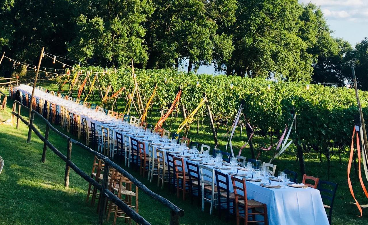 Farm stay Valdonica Winery Fine Dine & Wine *