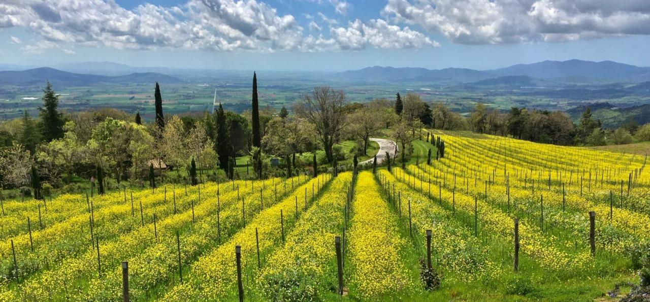 Farm stay Valdonica Winery Fine Dine & Wine