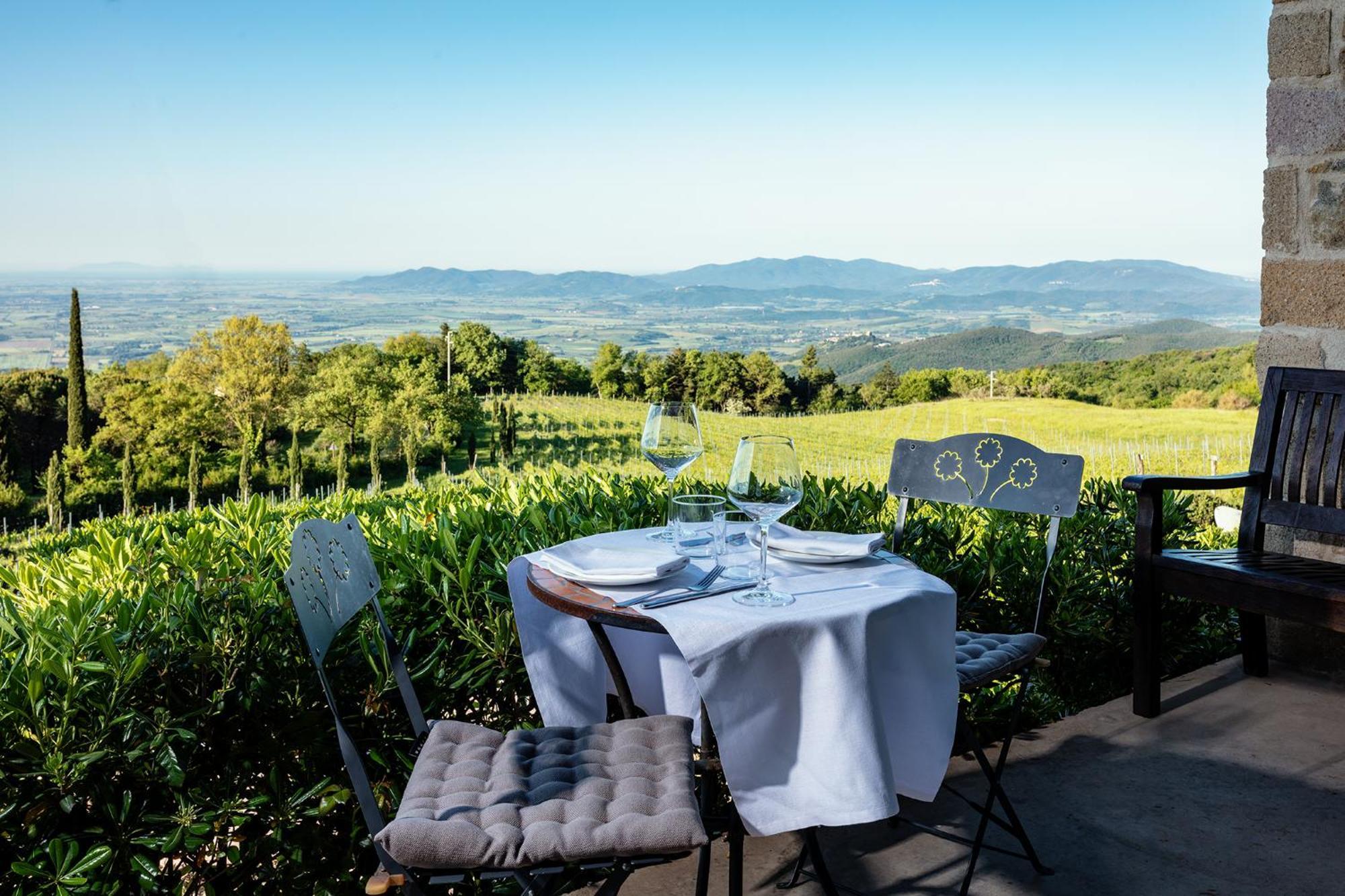 Farm stay Valdonica Winery Fine Dine & Wine