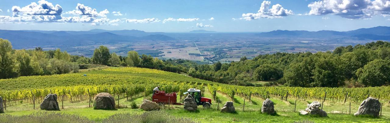 Farm stay Valdonica Winery Fine Dine & Wine Sassofortino