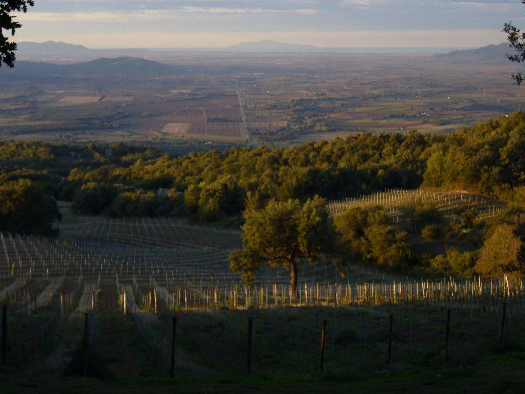 Farm stay Valdonica Winery Fine Dine & Wine