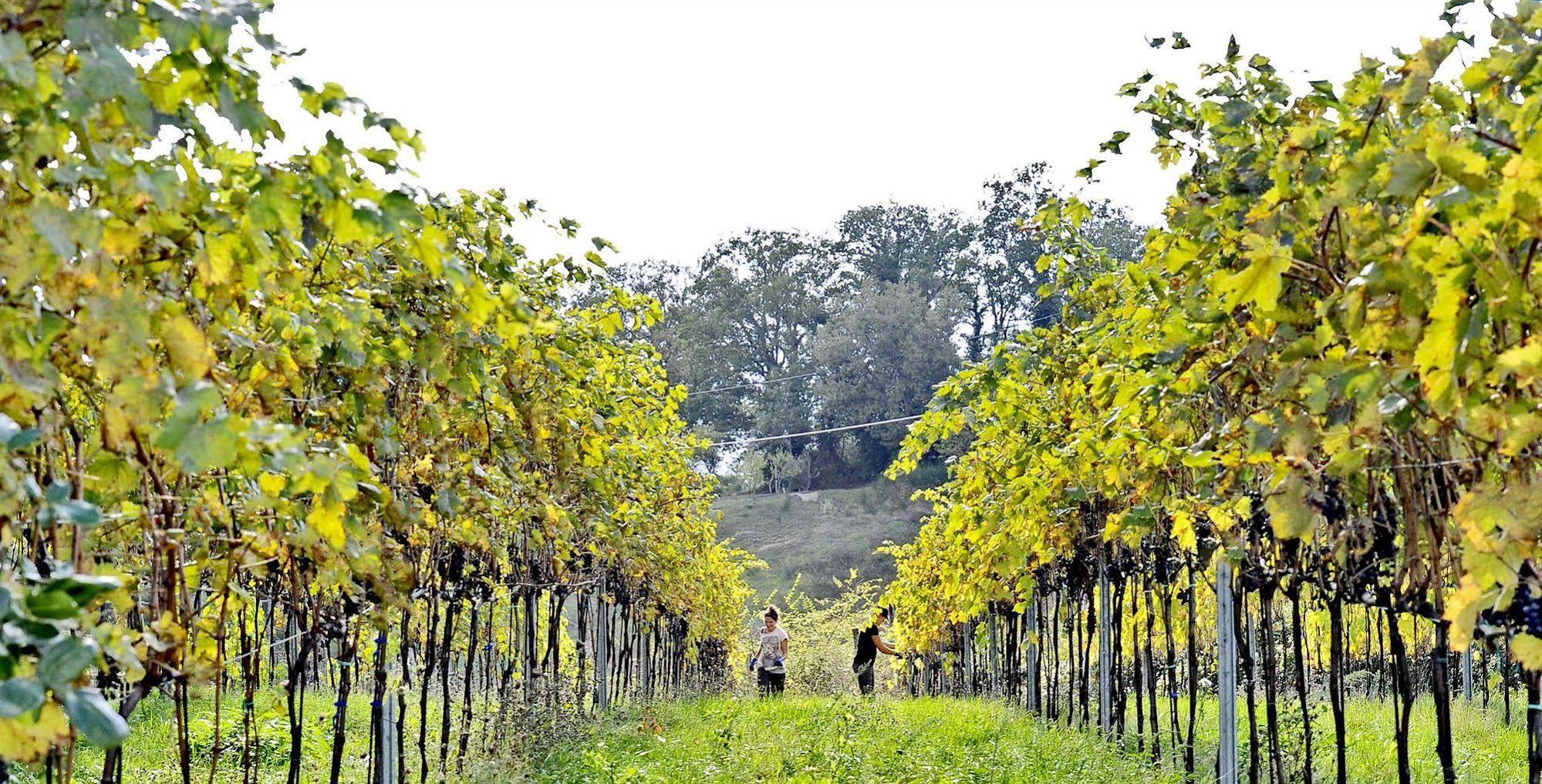Valdonica Winery Fine Dine & Wine