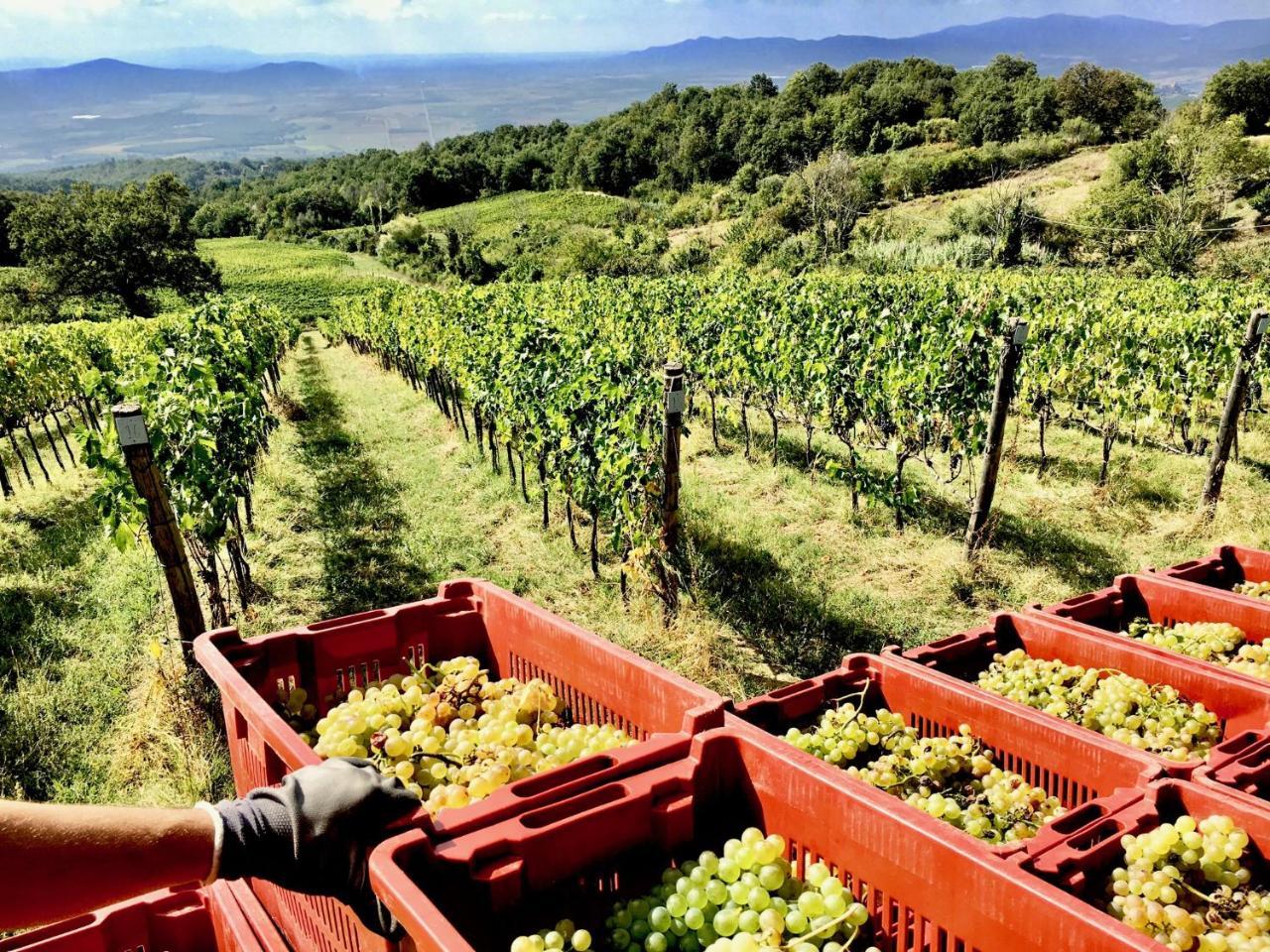 Valdonica Winery Fine Dine & Wine *